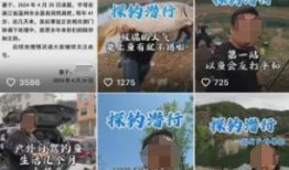 钓鱼爆料视频最新版